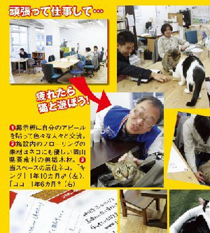 cat office in Japan