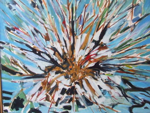 120 x 100 cm
