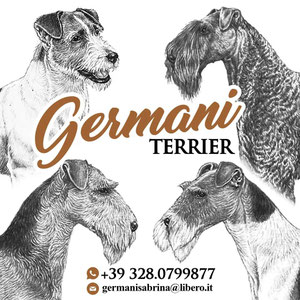 Benvenuti su GermaniJack!