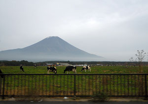 富士山の雪化粧は、見る位置によってずいぶん違うということを実感。これはもうすぐ裾野という辺りだ