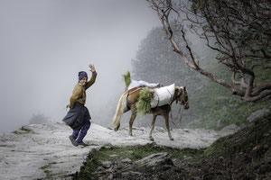 der Maulpferdtreiber in Chopta