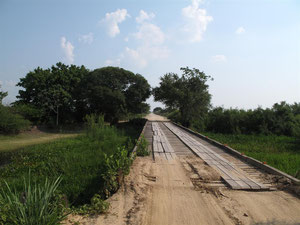 Pantanal - Campo Grande