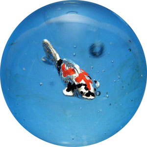 Koi Glasmurmel mit Porzellaninlay