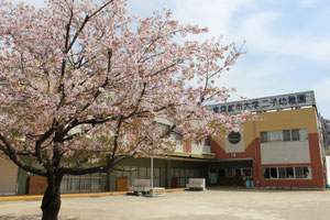 東京都市大学二子幼稚園