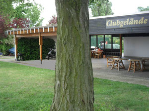 Bilderrätsel 2011