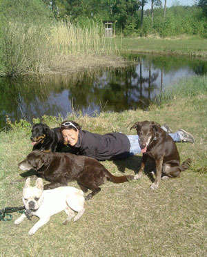 Zu unserer Tierfamilie gehören 4 Hunde und 3 Katzen