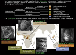 extrait du pdf sur l'exposition "regards cousins", partenariat entre le gaep et le musée d'histoire naturelle de Paris (2011)