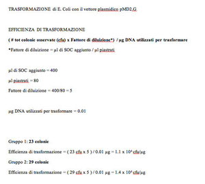 Anno 2011 protocollo esercitazione trasformazione