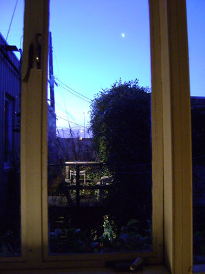 The view from my window