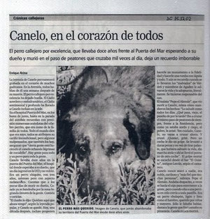 Publicación Diario. Foto extraída de internet