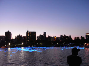 又一起去了超浪漫東京hotaru~