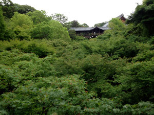 空無一人的東福寺