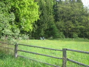 Bienenstand im Ramsargebiet