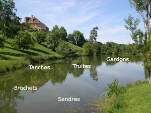 etang truite 71