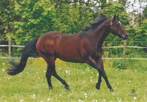 Chip mit 15 Jahren. Fotograf: Roberto Robaldo
