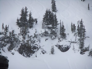 非圧雪の林間コース滑走中の人