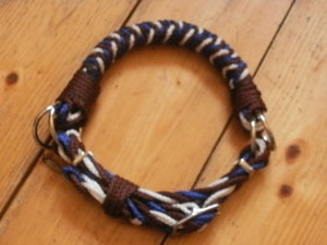 Sidepull mit Kinnriemen Preis 31,-