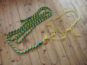 Knotenhalfter mit Bodenarbeitsseil 