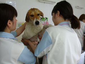 緊張してるね!