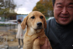 仔犬にはおじさんがおまけでついているかも！！