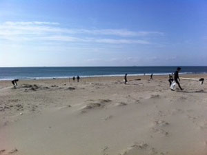beach clean