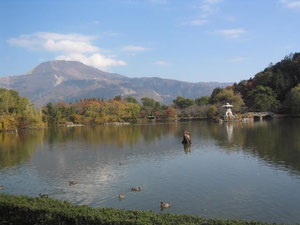 三嶋池 伊吹山