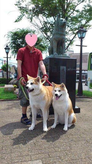 ハチ公と記念撮影。北海道と変わらないくらい暑いワン!