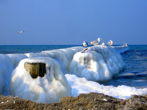 Winter an der Ostsee Foto:Karin Banner