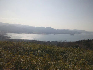 妙見山展望公園