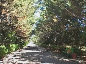 Иссык-куль Академия Наук