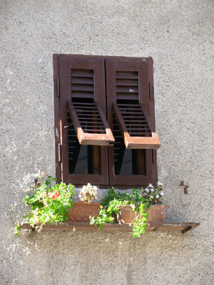 Fenster