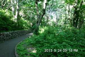 陣が下渓谷公園 横浜市保土ヶ谷区 カーリットの森を守る市民の会 緑の回廊 日本カーリット社