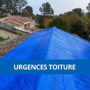 reparation toit urgence lyon