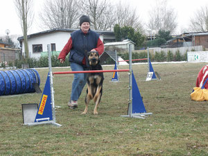 Wechsel hinterm Hund