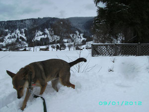 Alina im Schnee