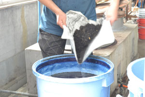 30どの水に投入します