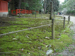 公園柵用ロープ