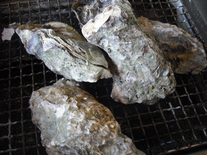 焼きガキ