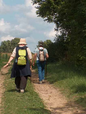 Tant que les chemins ont encore une vocation agricole, ils sont maintenus et à peu près en état. Mais quel avenir pour les autres ?
