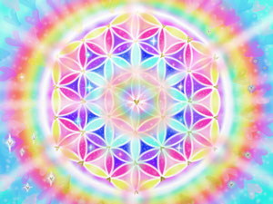 flower of life 天使のはね