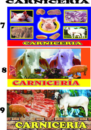 CARNICERIA 3