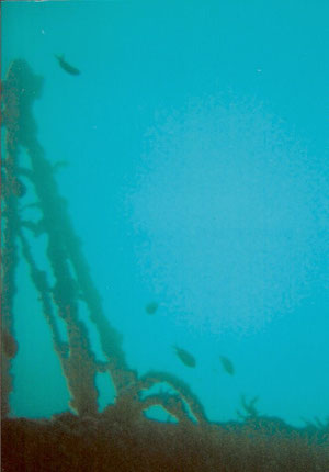 Die Waikato in etwa 25m Tiefe