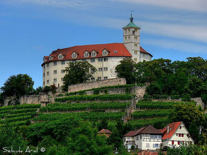 Auf dem Vaihinger Hausberg befindet sich Schloss Kaltenstein ...