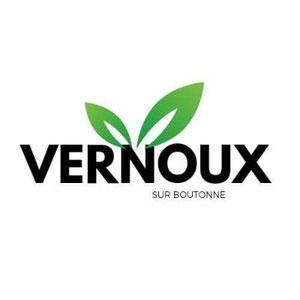 Site de vernoux-sur-boutonne !