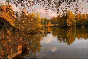 Herbst in der Blockheide