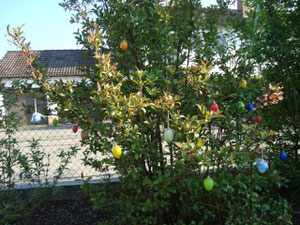 frohe Ostern!