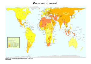 Il consumo di cereali nel mondo (FAO 2004)
