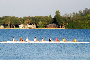 An eight with four newbies on their first row