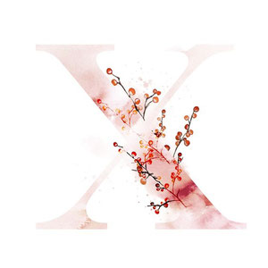 Página web de ximenaleynezparedes