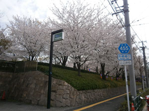 飛鳥山公園